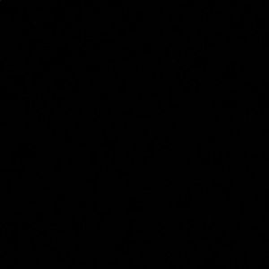 Meet your Posher, Reese